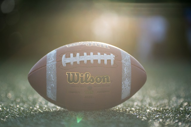 开跑倒计时 2024哈尔滨马拉松博览会盛大启幕.