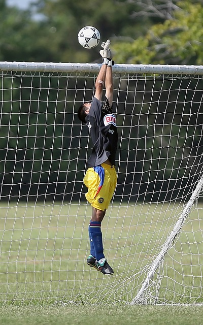 公正的平台 公正的平台